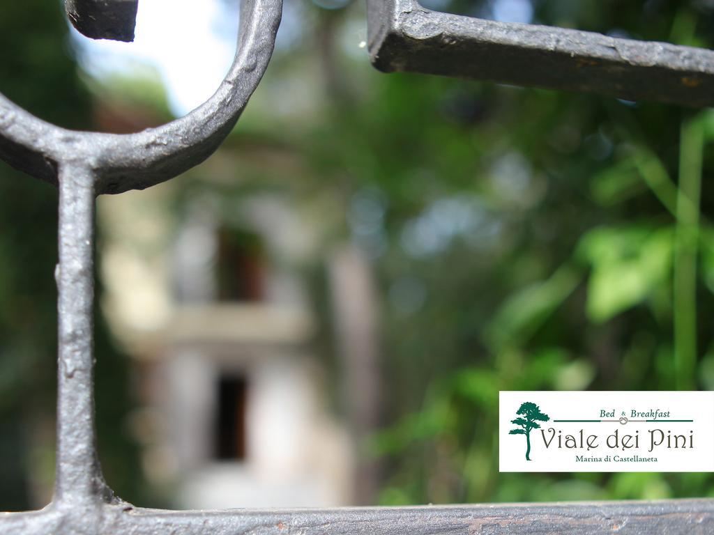 B&B Viale Dei Pini 카스텔라네타 마리나 외부 사진