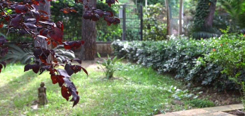 B&B Viale Dei Pini 카스텔라네타 마리나 외부 사진
