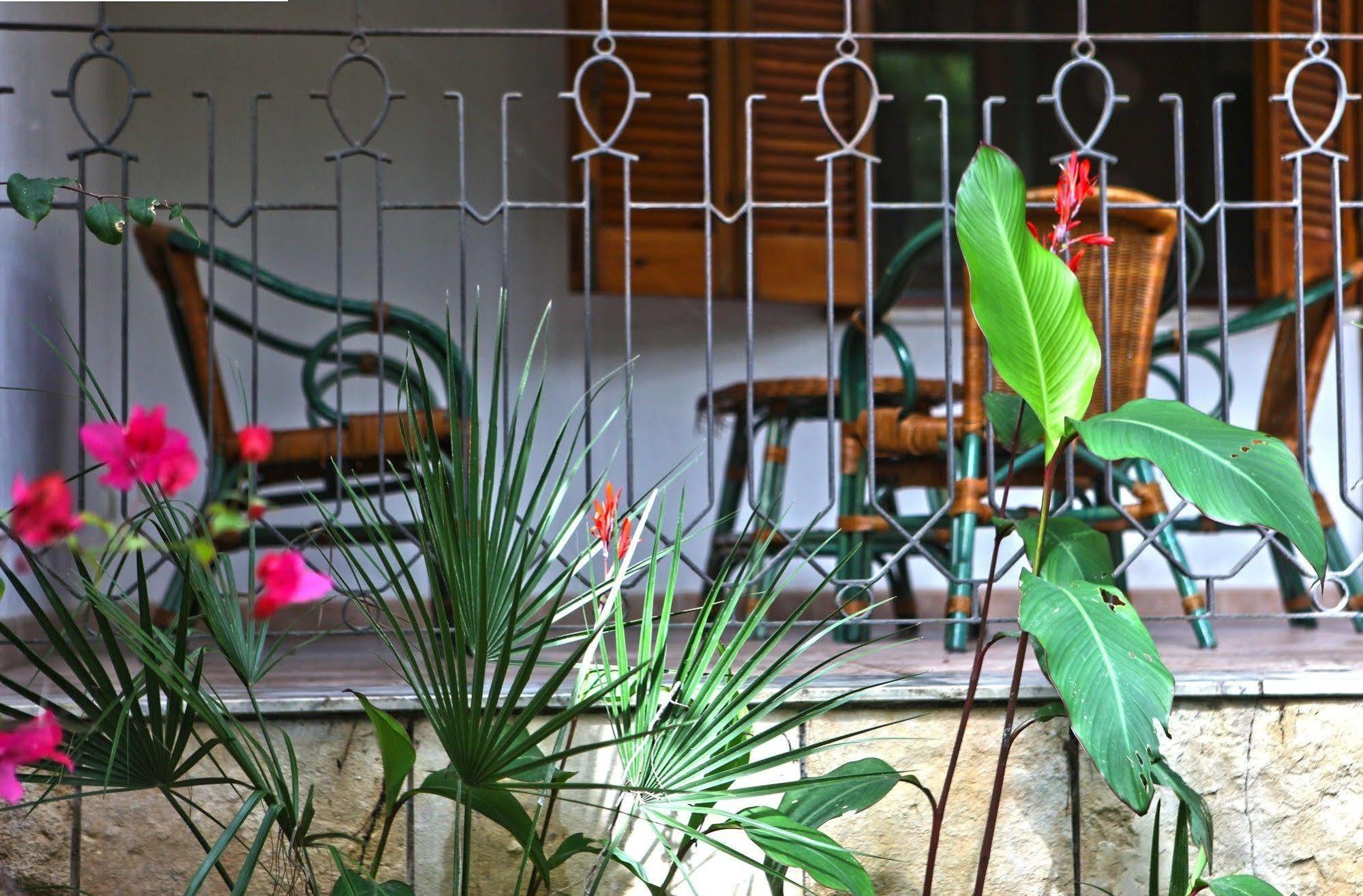 B&B Viale Dei Pini 카스텔라네타 마리나 외부 사진
