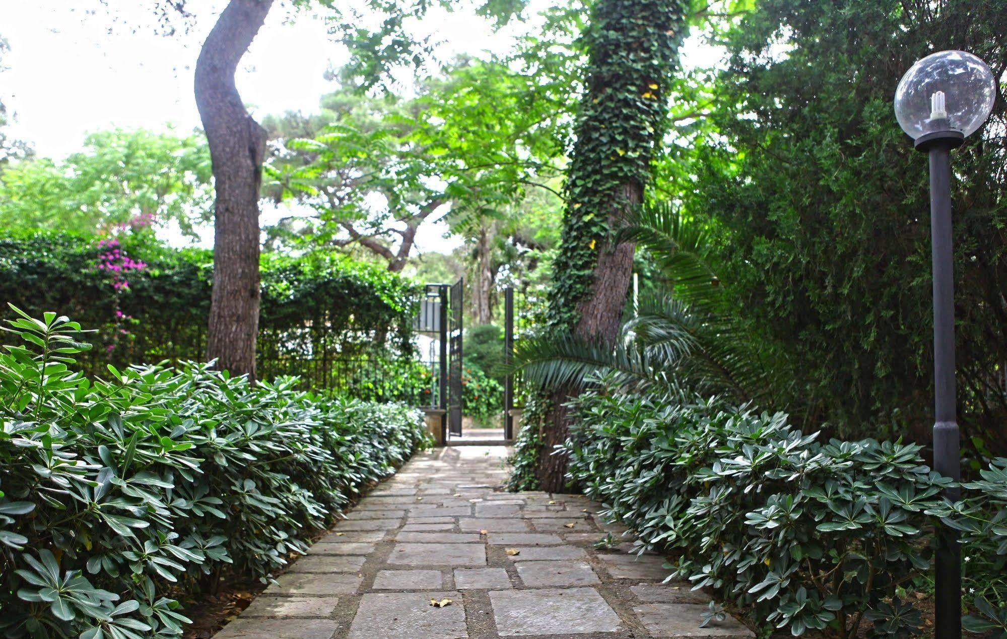 B&B Viale Dei Pini 카스텔라네타 마리나 외부 사진